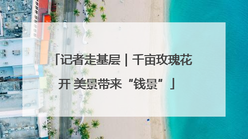 记者走基层｜千亩玫瑰花开 美景带来“钱景”