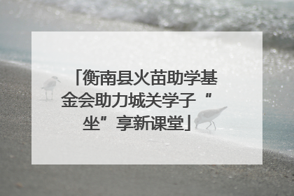 衡南县火苗助学基金会助力城关学子“坐”享新课堂