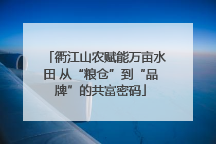 衢江山农赋能万亩水田 从“粮仓”到“品牌”的共富密码