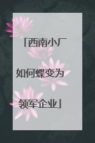 西南小厂如何蝶变为领军企业