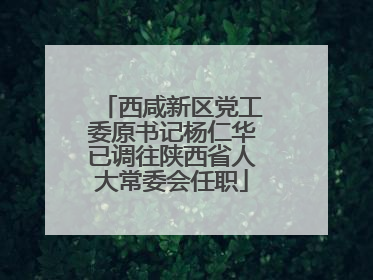 西咸新区党工委原书记杨仁华已调往陕西省人大常委会任职