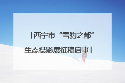 西宁市“雪豹之都”生态摄影展征稿启事