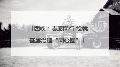 西峡：志愿同行 绘就基层治理“同心圆”