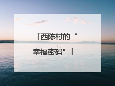 西陈村的“幸福密码”