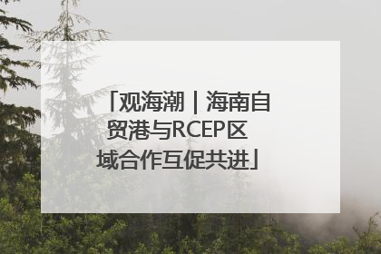 观海潮｜海南自贸港与RCEP区域合作互促共进