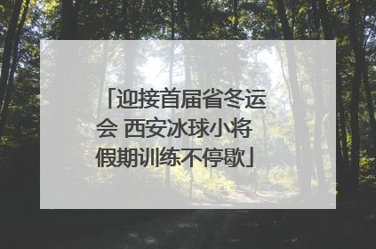 迎接首届省冬运会 西安冰球小将假期训练不停歇