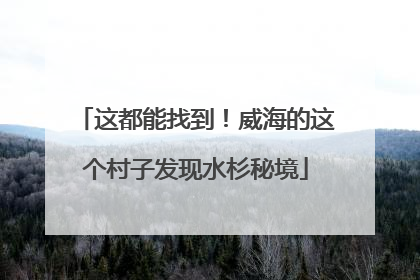 这都能找到！威海的这个村子发现水杉秘境