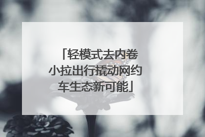 轻模式去内卷 小拉出行撬动网约车生态新可能
