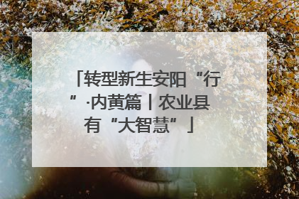 转型新生安阳“行”·内黄篇丨农业县有“大智慧”