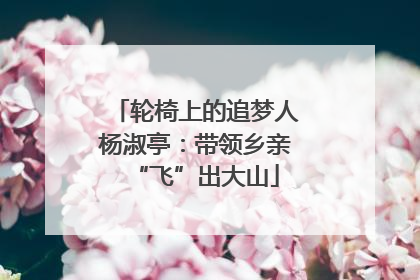 轮椅上的追梦人杨淑亭：带领乡亲“飞”出大山