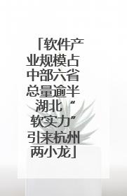 软件产业规模占中部六省总量逾半 湖北“软实力”引来杭州两小龙