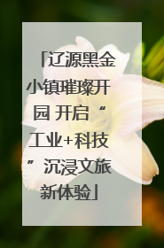 辽源黑金小镇璀璨开园 开启“工业+科技”沉浸文旅新体验