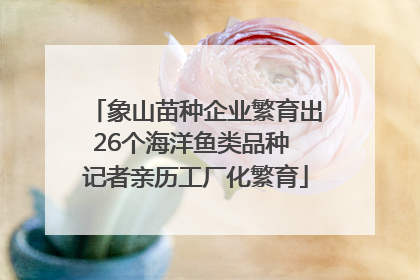 象山苗种企业繁育出26个海洋鱼类品种 记者亲历工厂化繁育