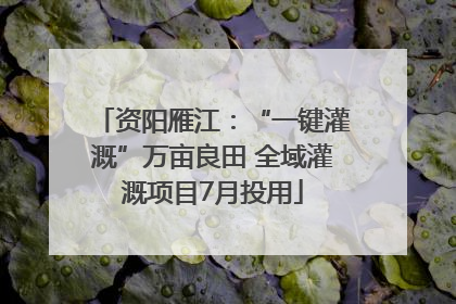 资阳雁江：“一键灌溉”万亩良田 全域灌溉项目7月投用