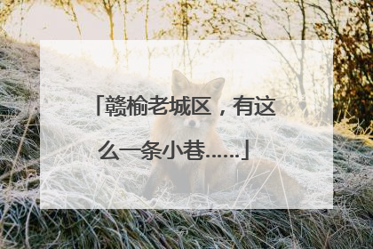 赣榆老城区，有这么一条小巷……