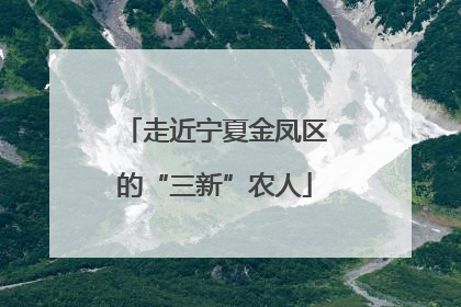 走近宁夏金凤区的“三新”农人