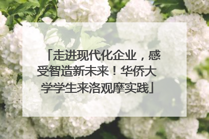 走进现代化企业，感受智造新未来！华侨大学学生来洛观摩实践