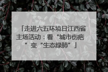 走进六五环境日江西省主场活动：看“城市伤疤”变“生态绿肺”