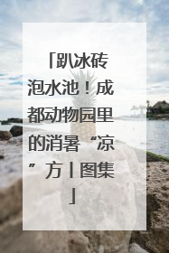 趴冰砖 泡水池！成都动物园里的消暑“凉”方丨图集