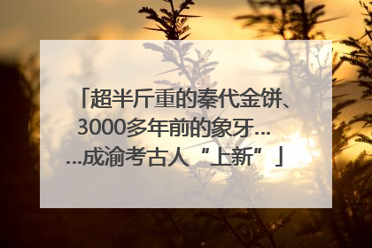 超半斤重的秦代金饼、3000多年前的象牙……成渝考古人“上新”