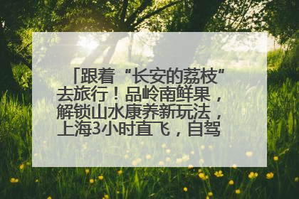 跟着“长安的荔枝”去旅行！品岭南鲜果，解锁山水康养新玩法，上海3小时直飞，自驾高速费优惠
