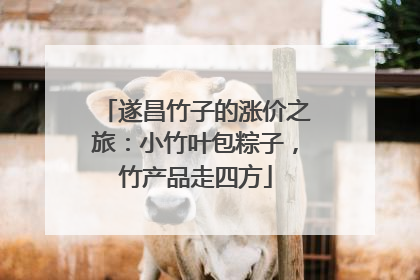 遂昌竹子的涨价之旅：小竹叶包粽子，竹产品走四方