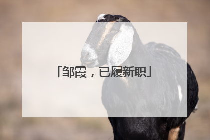 邹霞，已履新职