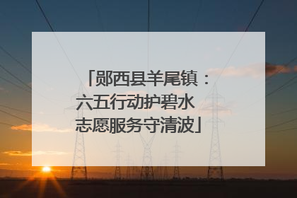 郧西县羊尾镇：六五行动护碧水 志愿服务守清波