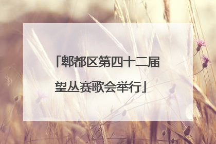 郫都区第四十二届望丛赛歌会举行