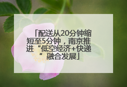 配送从20分钟缩短至5分钟，南京推进“低空经济+快递”融合发展