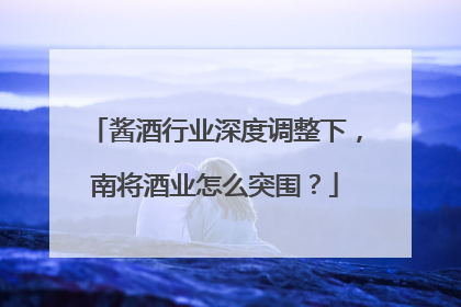 酱酒行业深度调整下，南将酒业怎么突围？