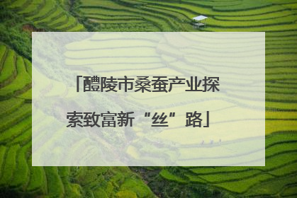 醴陵市桑蚕产业探索致富新“丝”路