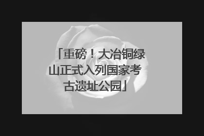 重磅！大冶铜绿山正式入列国家考古遗址公园