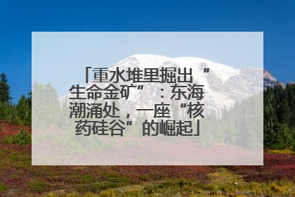重水堆里掘出“生命金矿”：东海潮涌处，一座“核药硅谷”的崛起