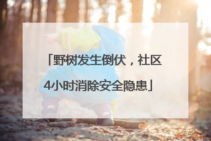 野树发生倒伏，社区4小时消除安全隐患