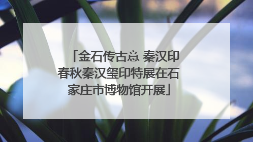 金石传古意 秦汉印春秋秦汉玺印特展在石家庄市博物馆开展
