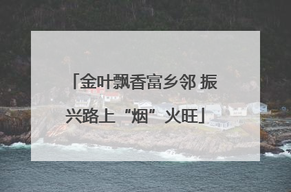 金叶飘香富乡邻 振兴路上“烟”火旺