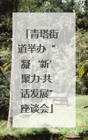 青塔街道举办“凝‘新’聚力·共话发展”座谈会