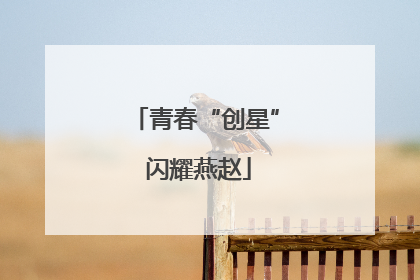 青春“创星” 闪耀燕赵