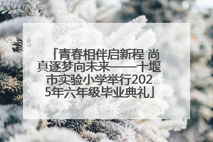 青春相伴启新程 尚真逐梦向未来——十堰市实验小学举行2025年六年级毕业典礼