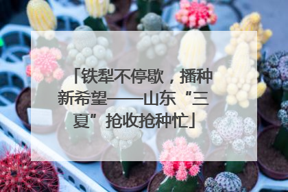 铁犁不停歇，播种新希望——山东“三夏”抢收抢种忙