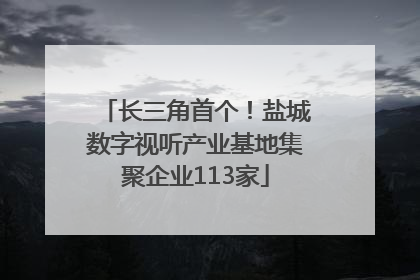 长三角首个！盐城数字视听产业基地集聚企业113家