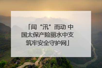 闻“汛”而动 中国太保产险丽水中支筑牢安全守护网