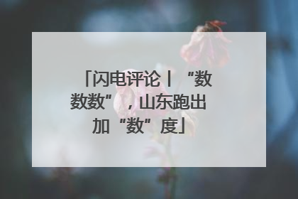闪电评论丨“数数数”，山东跑出加“数”度