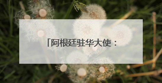 阿根廷驻华大使：发展中国家以中国模式为范本应对挑战