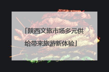 陕西文旅市场多元供给带来旅游新体验