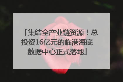 集结全产业链资源！总投资16亿元的临港海底数据中心正式落地