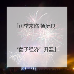 雨季来临 镇沅县“菌子经济”升温