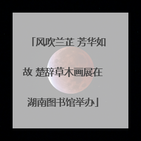风吹兰芷 芳华如故 楚辞草木画展在湖南图书馆举办