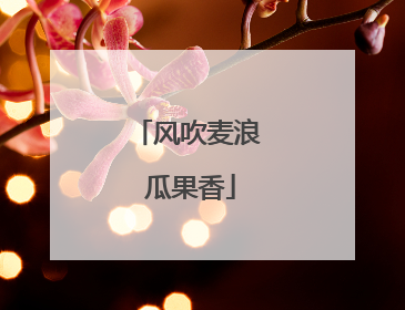 风吹麦浪 瓜果香